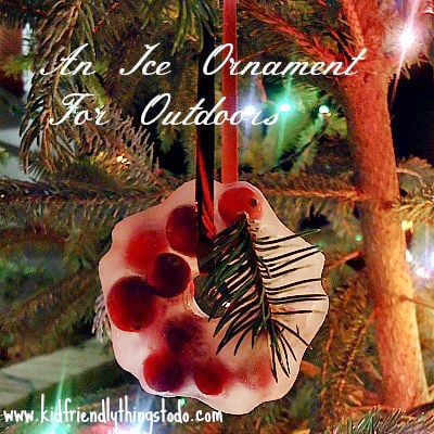 ice ornament craft 