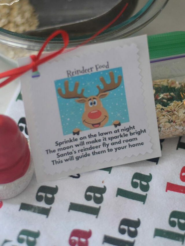 How To Make Reindeer Food – Story