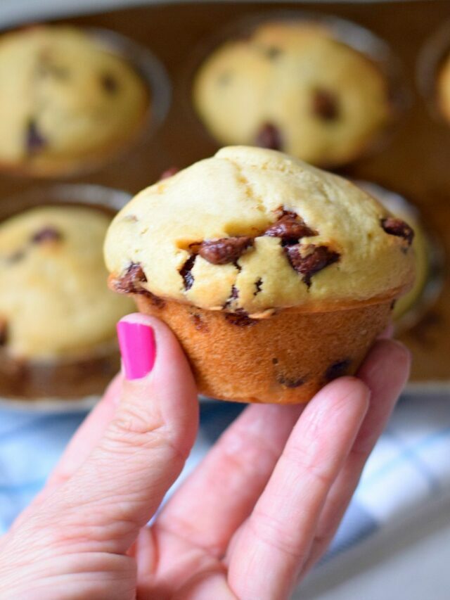 Homemade Chocolate Chip Muffins – Story