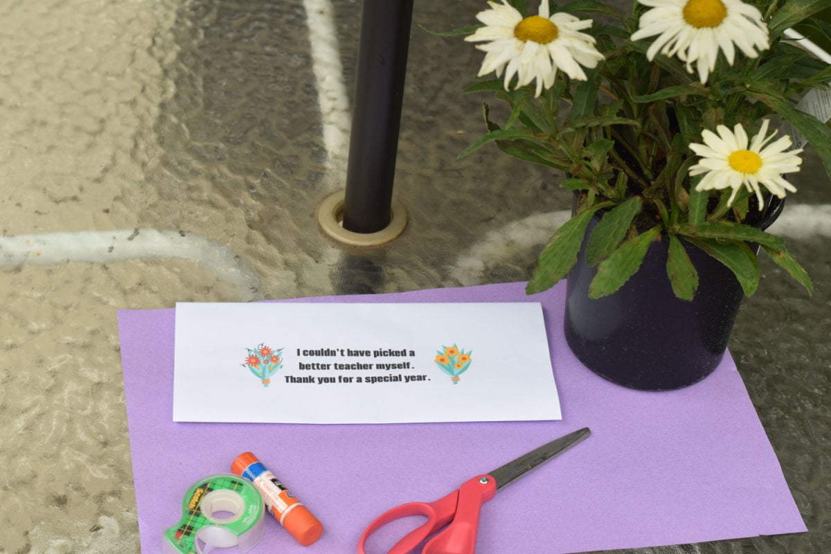 supplies for potted teacher gift