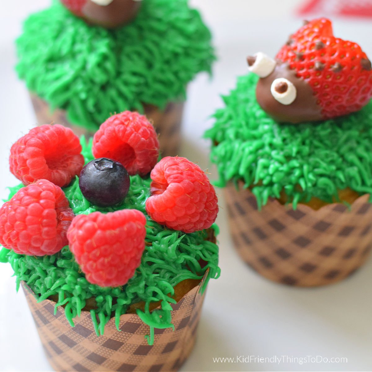 ladybug and flower nature cupcakes