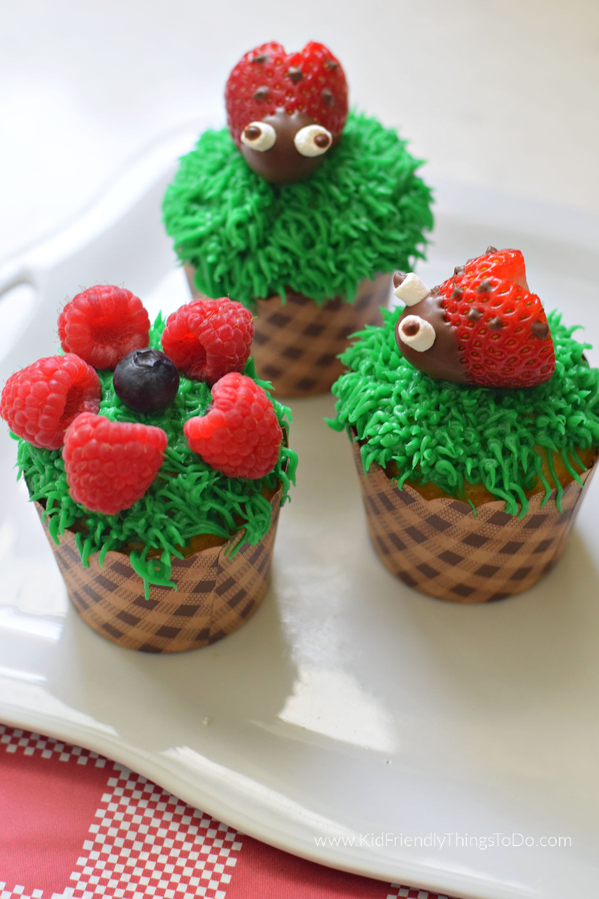 ladybug and flower nature cupcakes