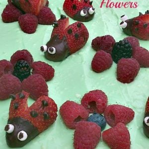 Strawberry Ladybugs and Raspberry Flowers