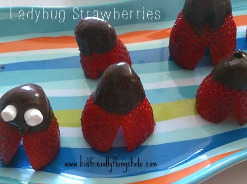 Chocolate covered strawberries disguised as ladybugs! How cute! Perfect for a fun summertime dessert!