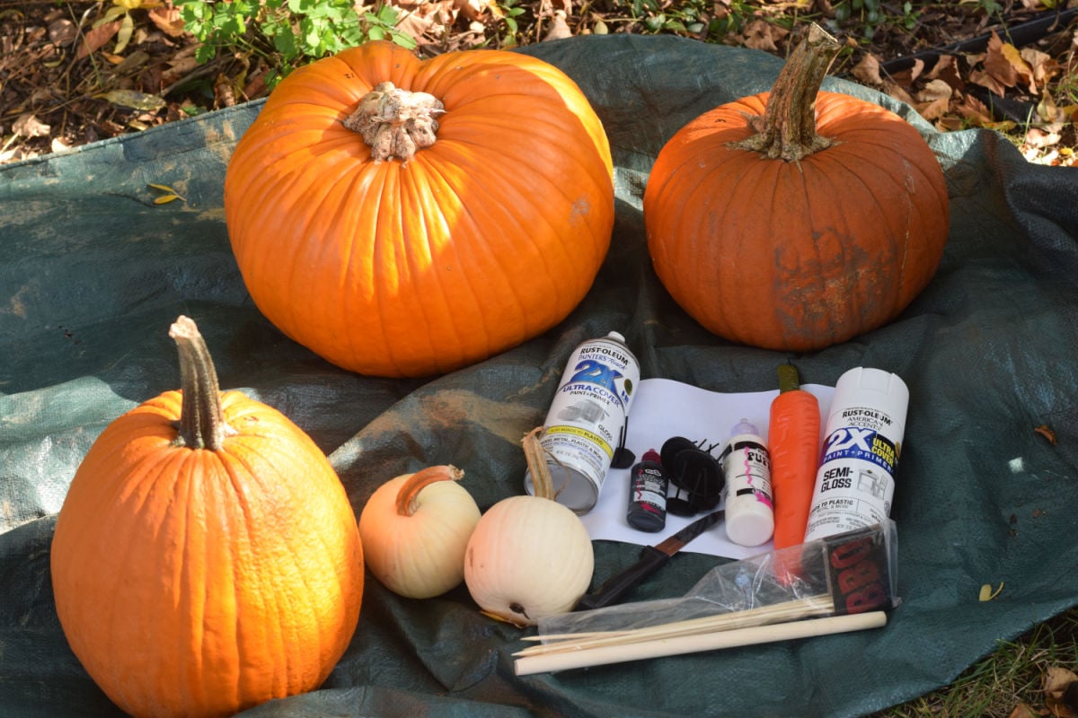 supplies for Olaf pumpkin