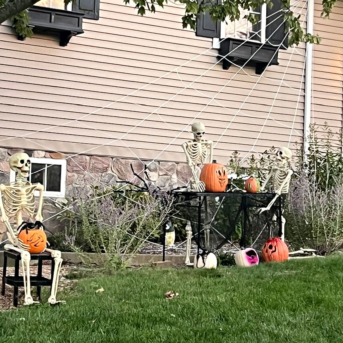 pumpkin carving skeletons 