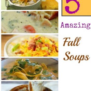 A round-up of oh so delicious looking SOUP Recipes!!!! Yum!