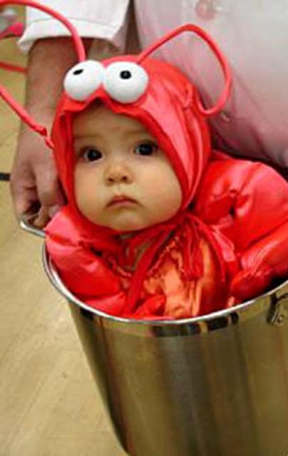 lobster bake costume 