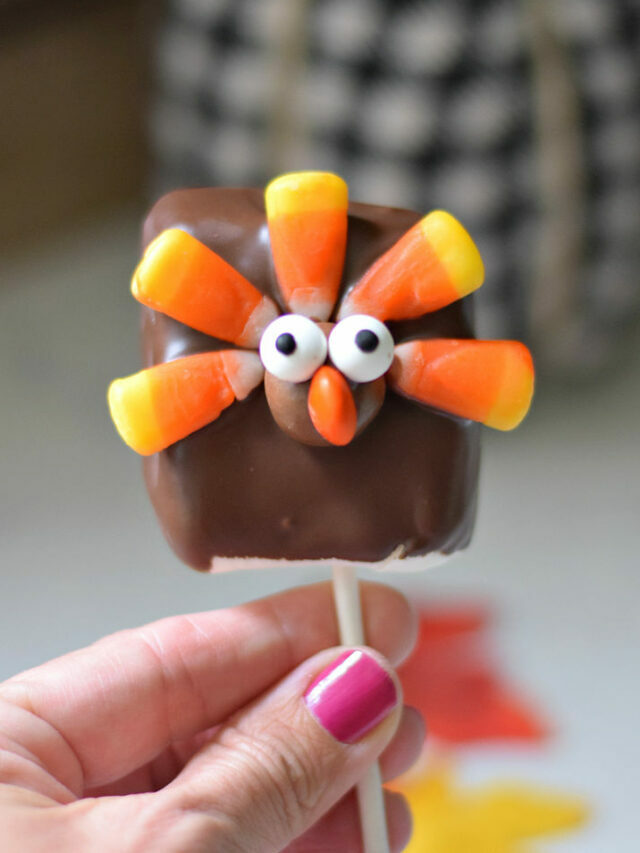 Thanksgiving Turkey Marshmallow Lollipops – Story