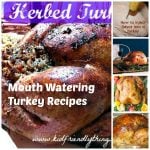 Mouth Watering Turkey Recipes that are sure to wow all of your guests at Thanksgiving, and Christmas