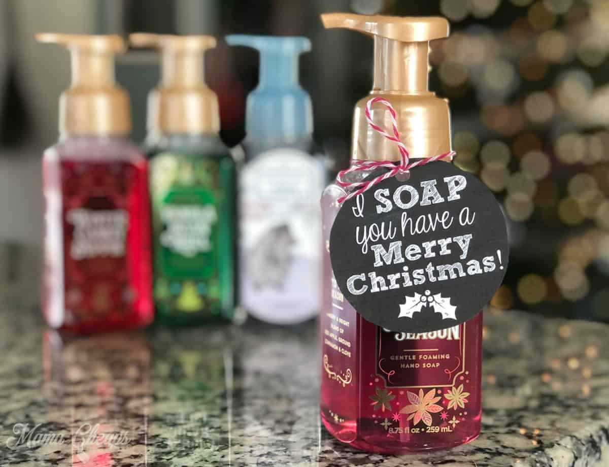 soap Christmas gift idea