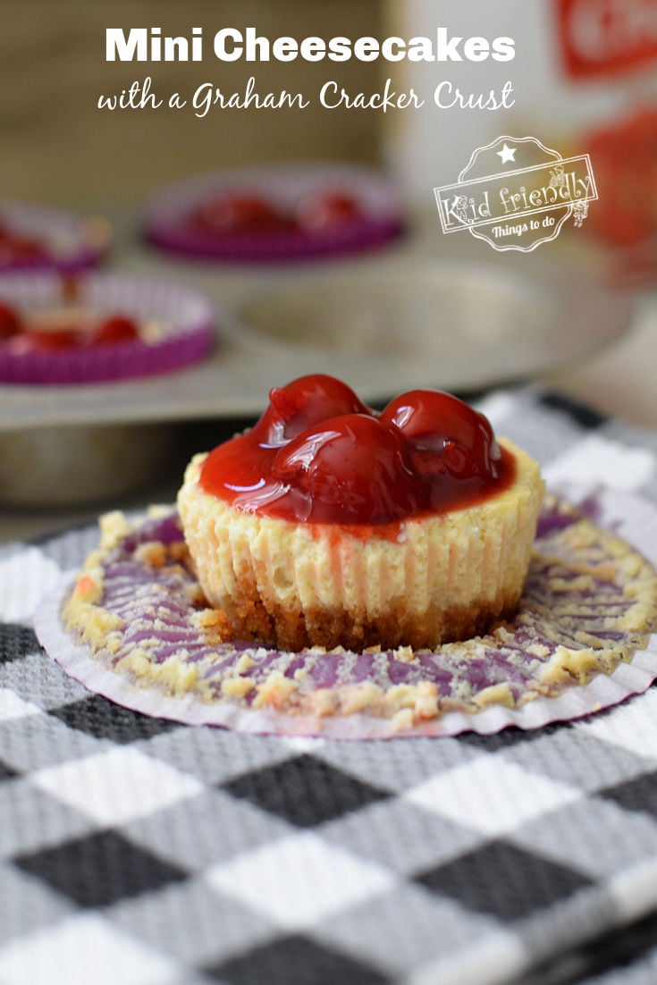 mini graham cracker cups