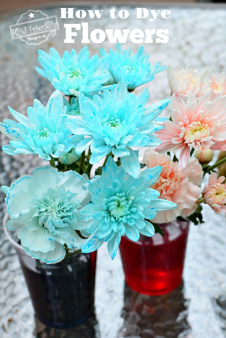 dye flowers with food color