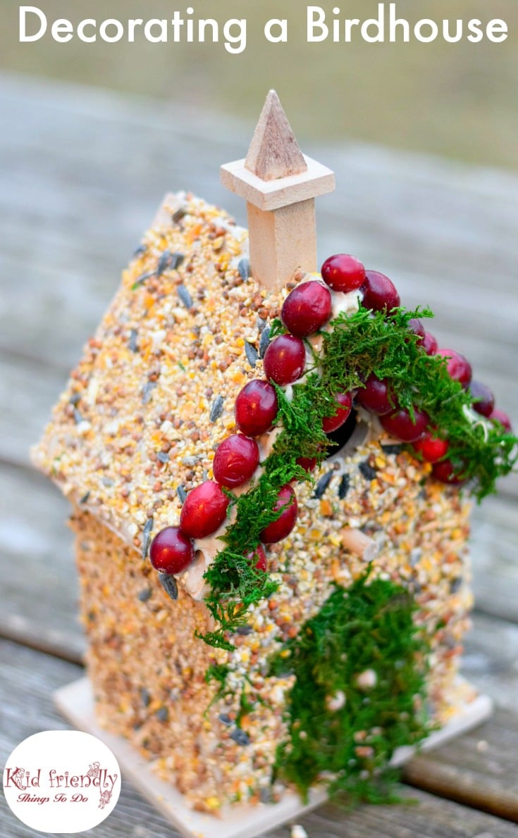 edible bird seed houses