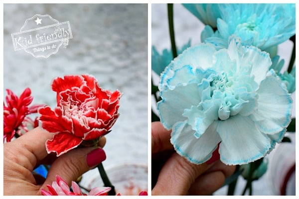how to dye flowers