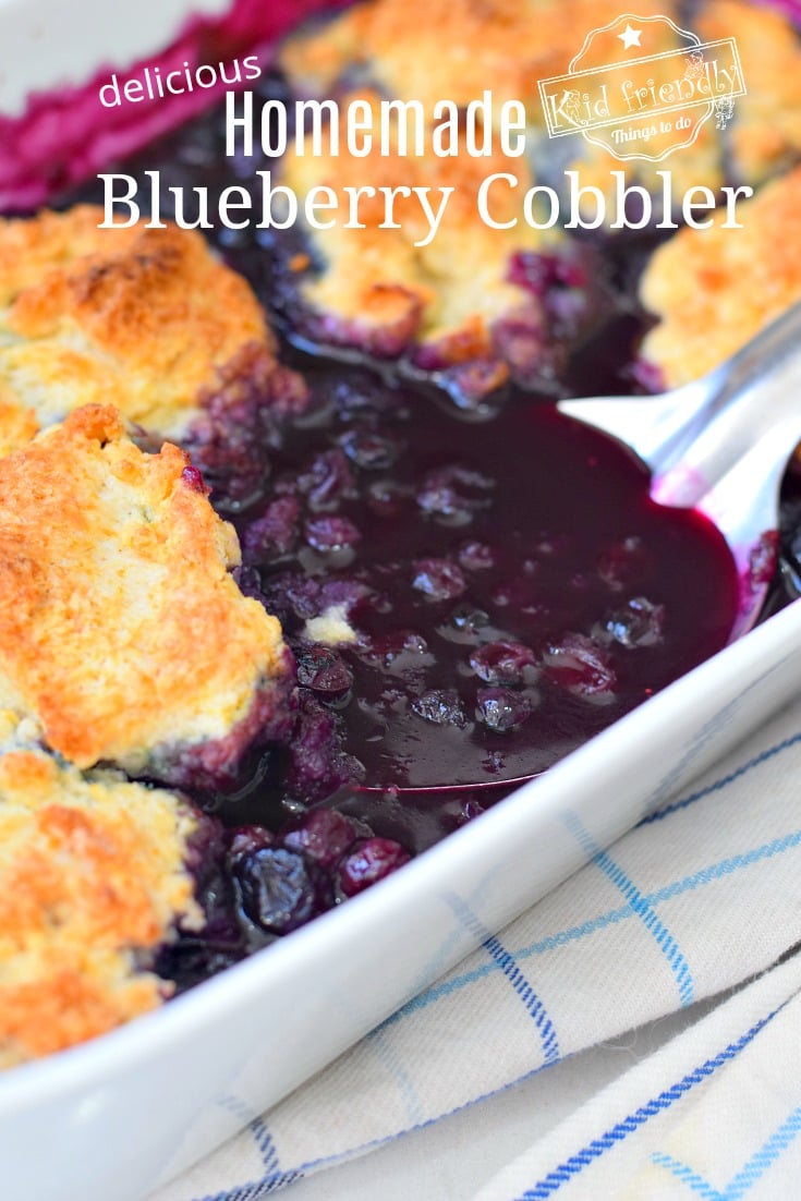 Easy Blueberry Cobbler Recipe 
