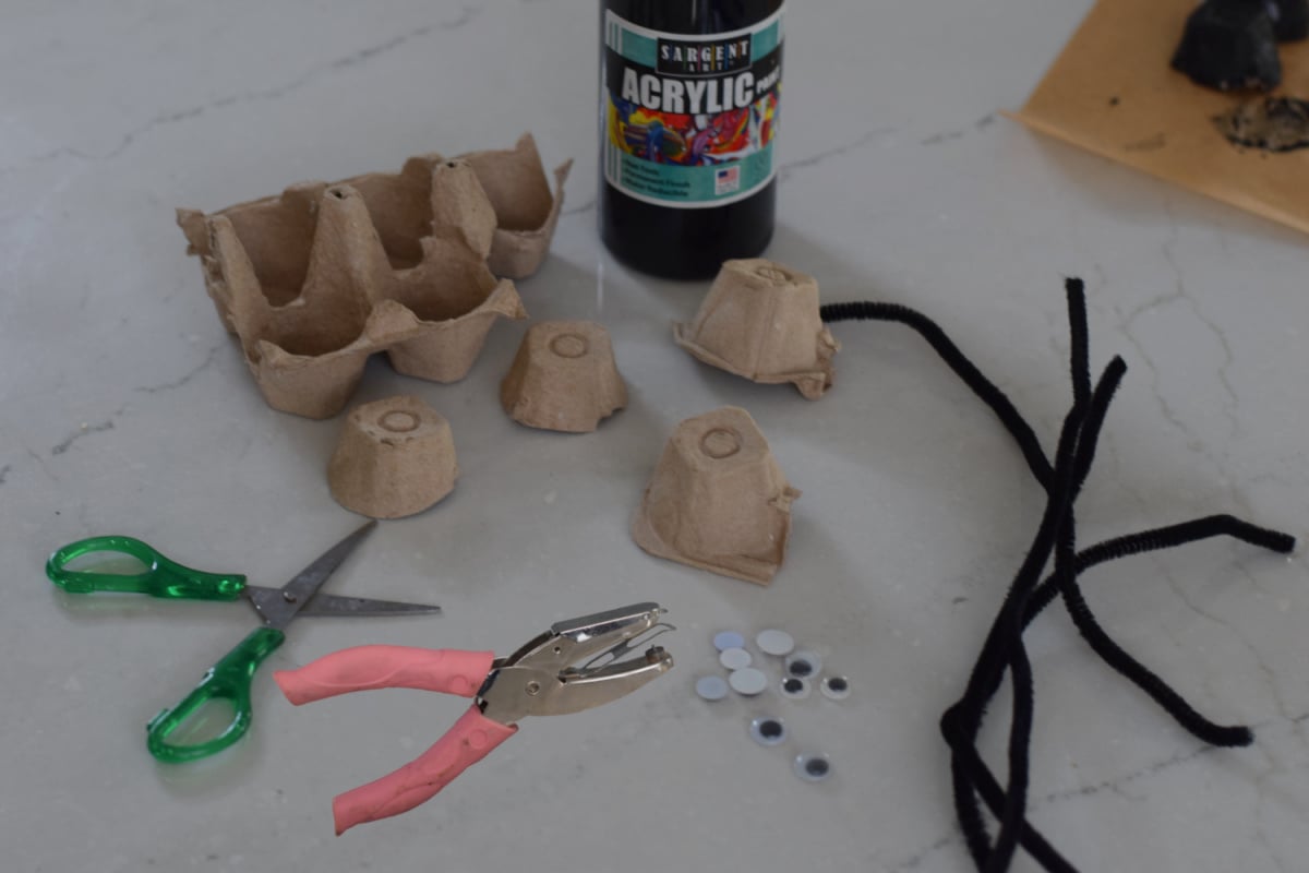 egg carton spiders supplies