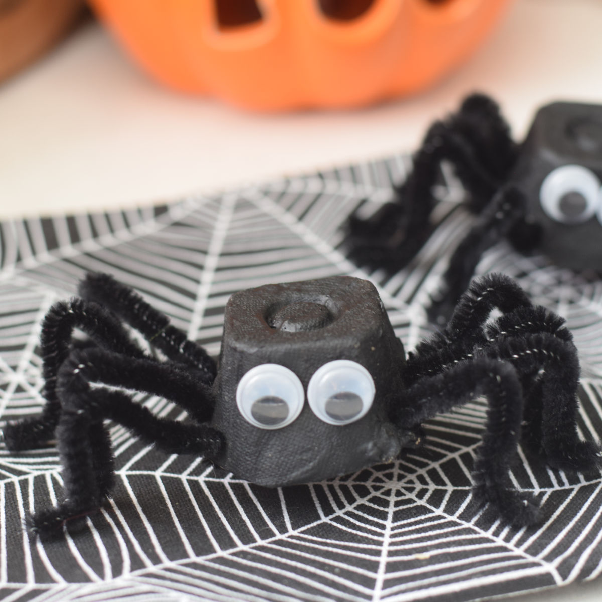 egg carton spider