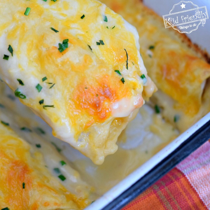 Chicken Enchiladas With Sour Cream White Sauce Recipe ...