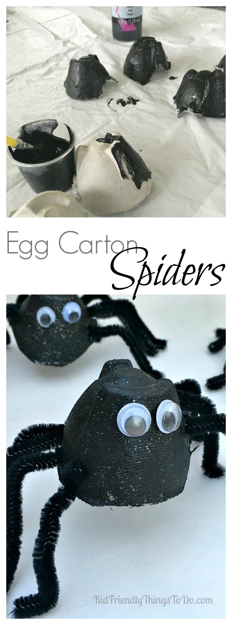 Egg Carton Spider Craft - Perfect for Halloween or a unit on Bugs! - KidFriendlyThingsToDo.com