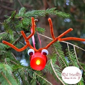 Read more about the article Easy Rudolph Christmas Ornament Craft