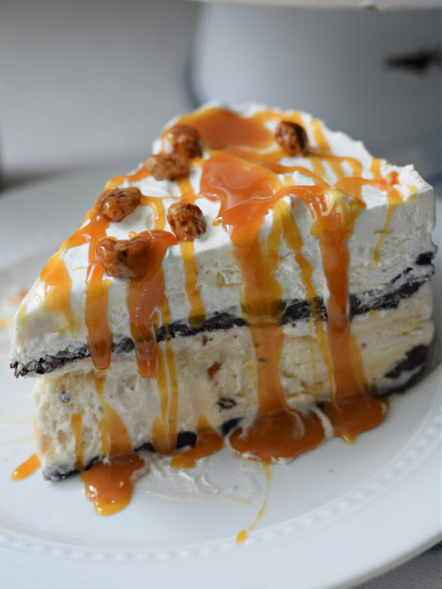 Homemade Ice Cream Cake Recipe – Story