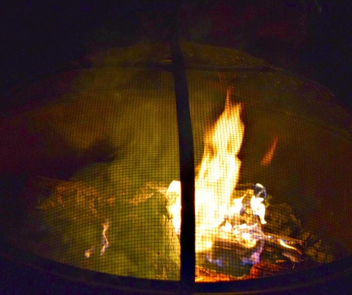 IMG_2115-smores-campfire