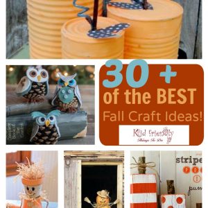 Read more about the article The Best DIY Kid Friendly Fun Fall Craft & Decorating Ideas