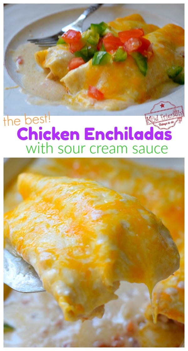 easy Chicken Enchiladas Recipe 