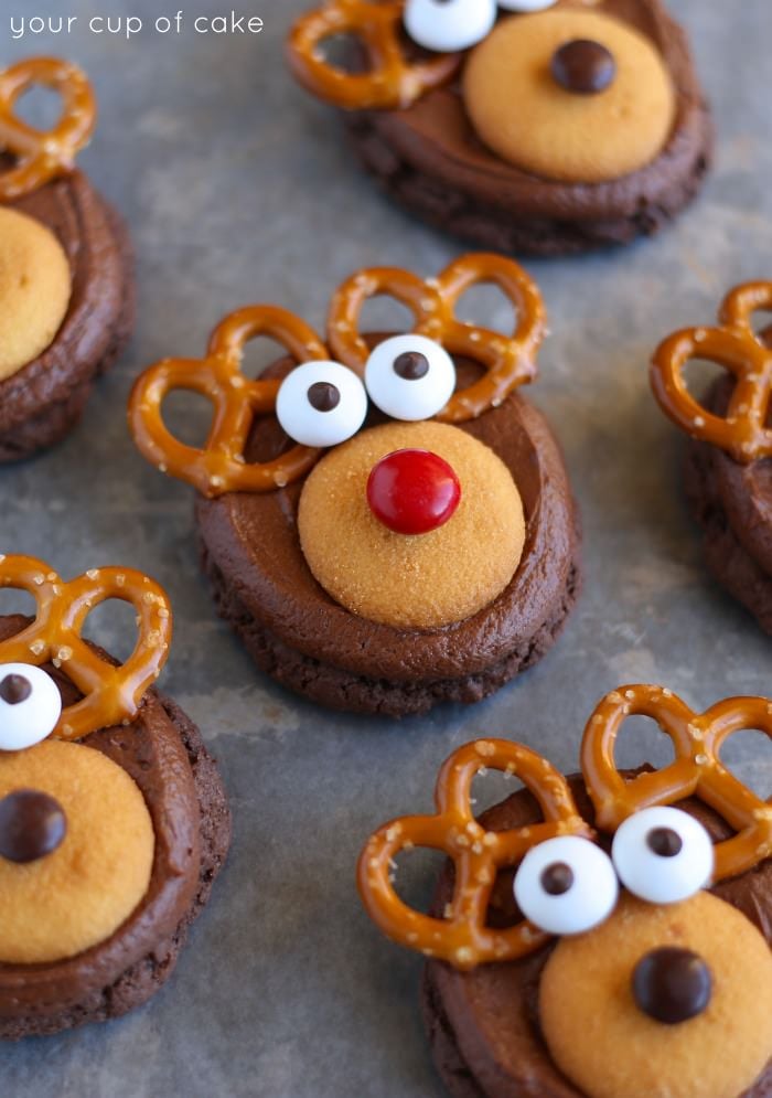 21 Simple, Fun and Yummy Christmas Cookies That You Can Make With the Kids!