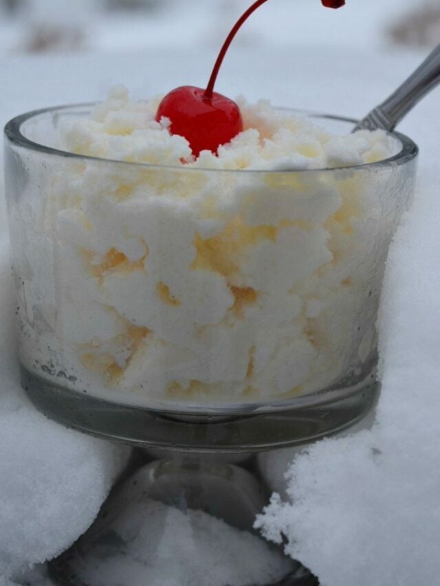 Homemade Three Ingredient Snow Ice Cream Recipe – Story