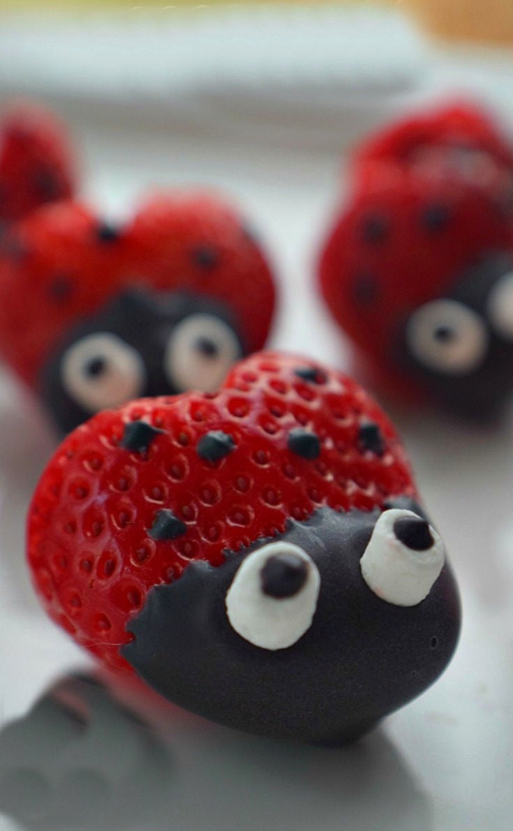 ladybug chocolate covered strawberries 