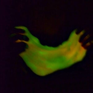 Easy DIY Glow in the Dark Slime