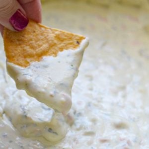 slow cooker queso dip