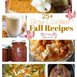 Over 25 Delicious Looking Fall Slow Cooker Recipes to Try - Crockpot recipes to warm you up and feed your soul this fall! spice, pumpkin recipes, drinks, apple recipes, soup , and dinner www.kidfriendlythingstodo.com