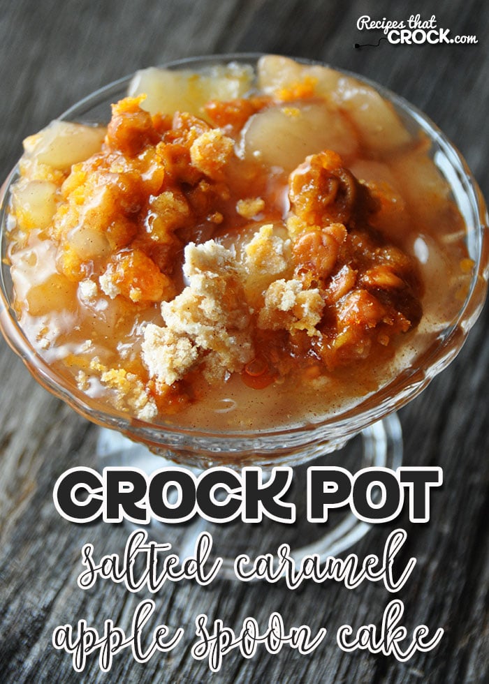 Over 23 Delicious Looking Fall Slow Cooker Recipes to Try - Crockpot recipes to warm you up and feed your soul this fall! spice, pumpkin recipes, drinks, apple recipes, soup , and dinner www.kidfriendlythingstdo.com