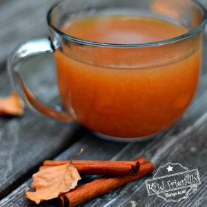 Delicious Slow Cooker Mulled Apple Cider Recipe