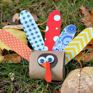 Make a Cute Little Turkey out of a Toilet Paper Tube - Thanksgiving Craft Idea - Easy enough for preschoolers, kindergarten & older kids too - www.kidfriendlythingstodo.com