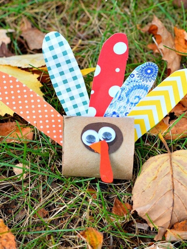 Turkey Toilet Paper Tube Thanksgiving Craft – Story