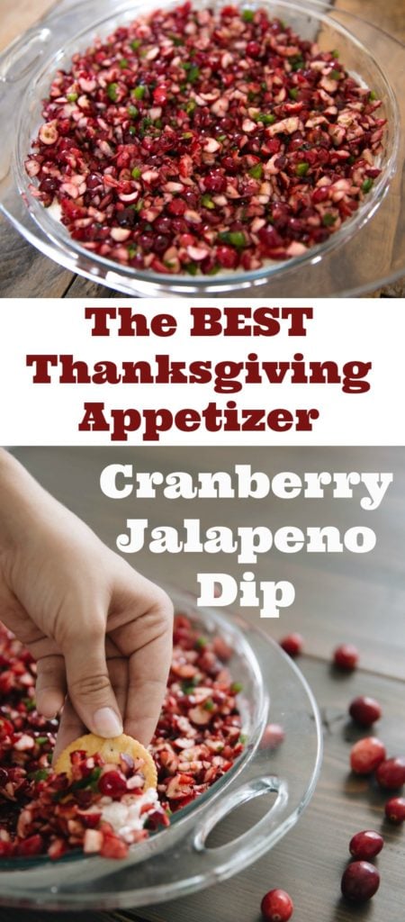 Over 31 Easy Holiday Appetizers to Make for Thanksgiving, Christmas, New Year's Eve, Super Bowl, etc... You get the idea. We need simple, crowd pleasing, make ahead, and delicious appetizers to feed the masses! Come on in and check out Over 31 Easy Holiday Appetizers to Make for Christmas, New Year's Eve and All of Your Parties Simple and Delicious!... www.kidfriendlythingstodo.com  