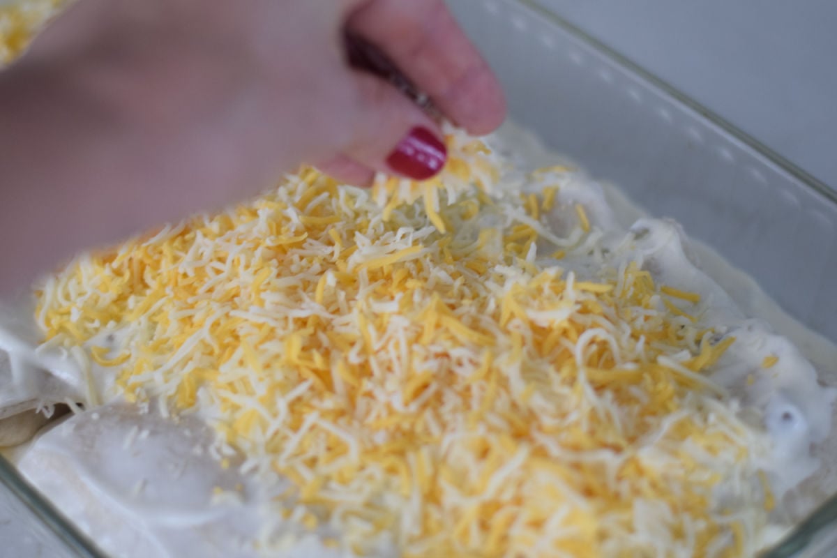 sprinkling cheese chicken enchiladas 