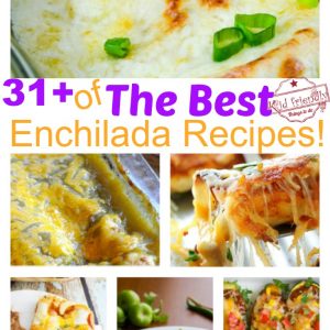Over 31 of the BEST Enchilada Recipes – Chicken – Beef – White – Cheese – Vegetarian – Verde – and More!