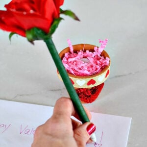 DIY Flower Pen and Terra Cotta Pot Craft