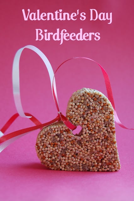 valentine's day bird feeder craft