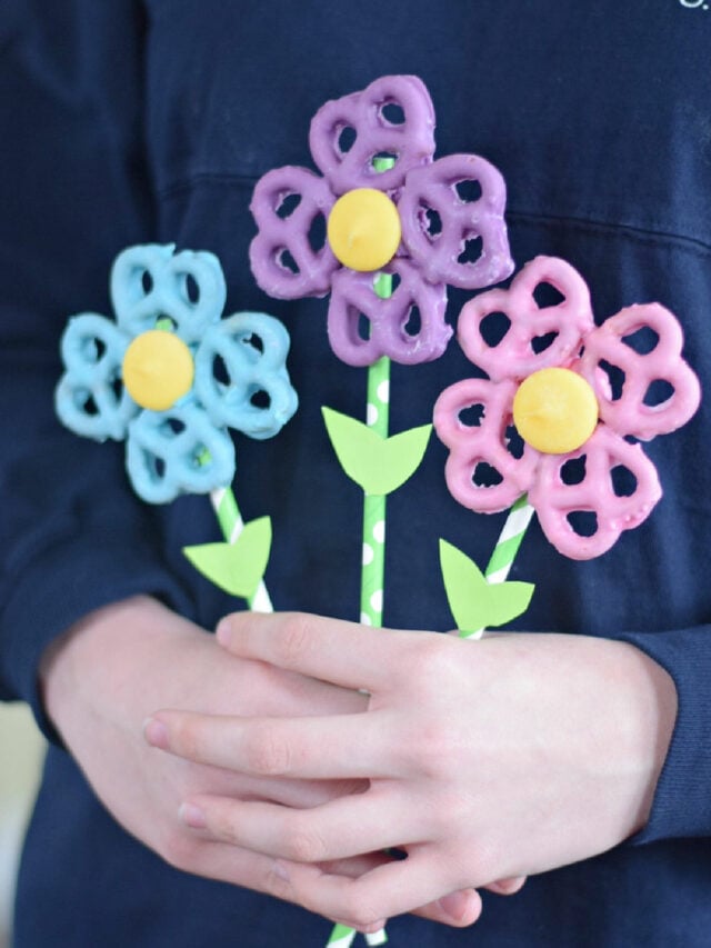Chocolate Covered Pretzel Flowers – Story