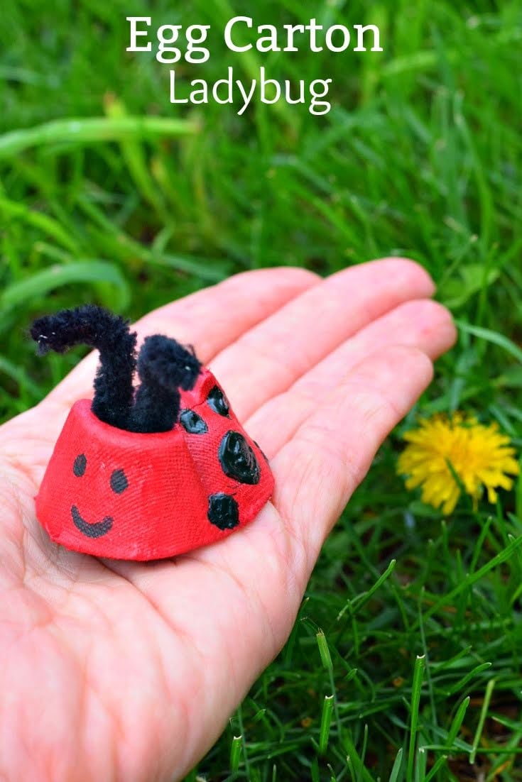 lady bug egg carton craft