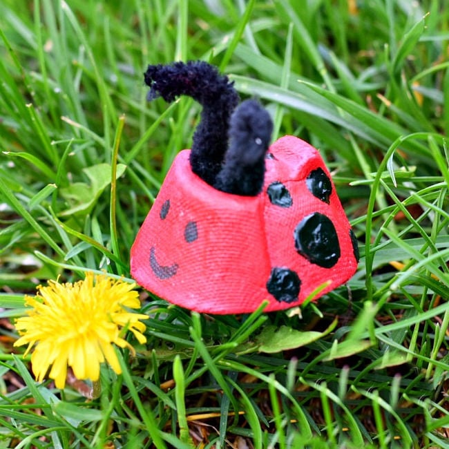 lady bug egg carton craft