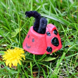 Ladybug Craft Idea Using Recycled Egg Cartons