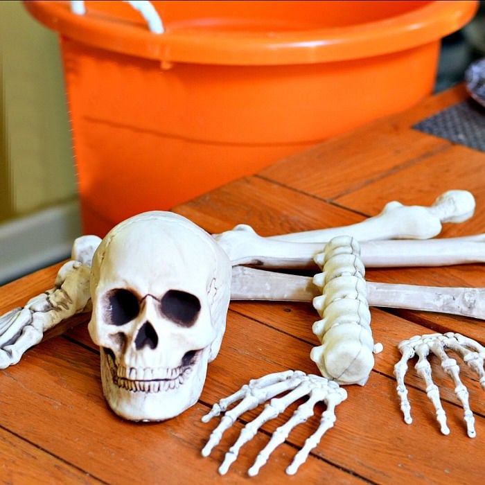 Skeleton Bones Dig a Halloween Game for Kids to Play