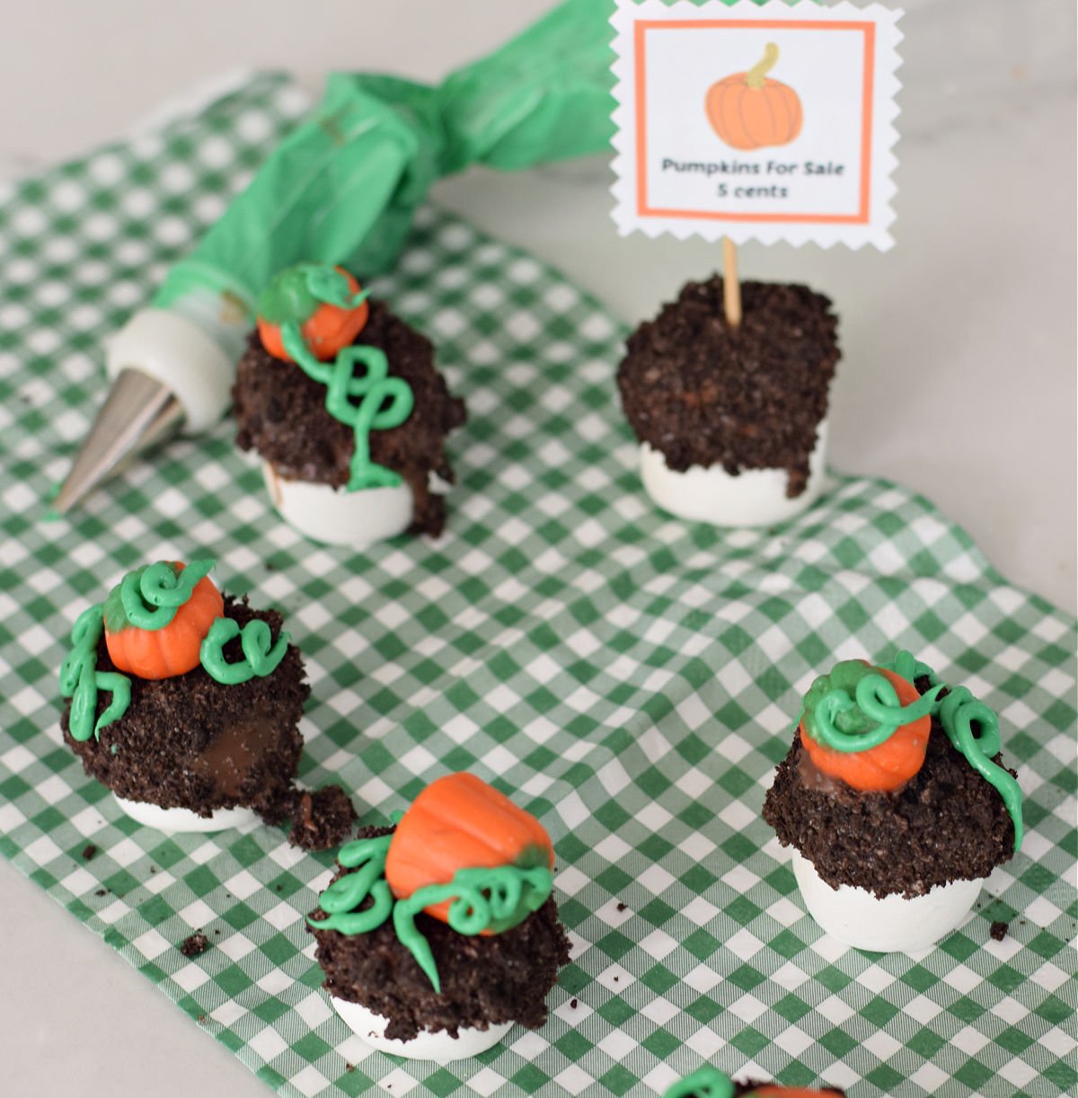 You are currently viewing Pumpkin Patch Chocolate Covered Marshmallow Bites